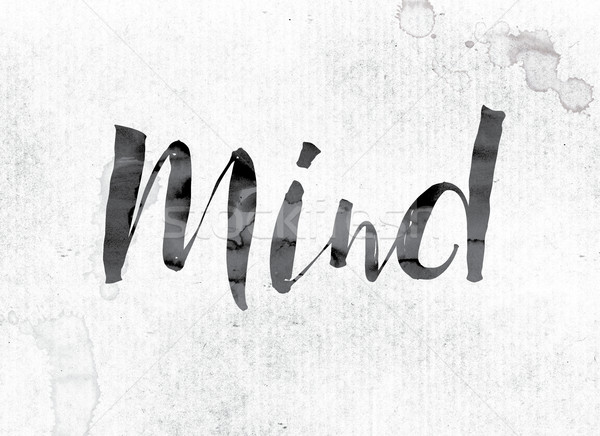 Mind Concept Painted in Ink Stock photo © enterlinedesign