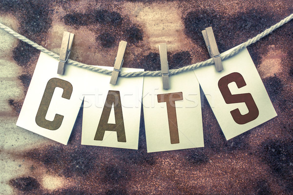 кошек карт слово старые кусок Сток-фото © enterlinedesign