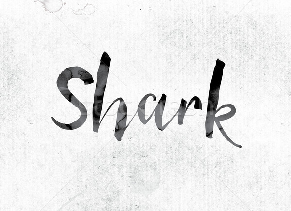 Tiburón pintado tinta palabra acuarela blanco Foto stock © enterlinedesign