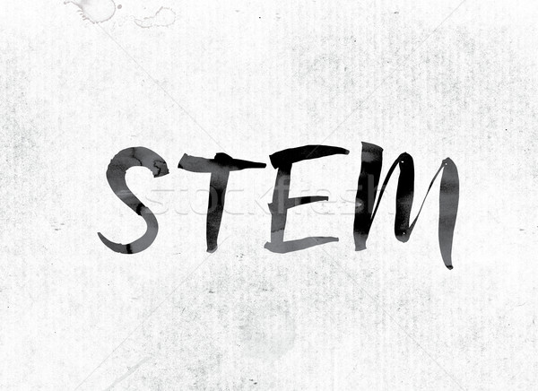 STEM Concept Painted in Ink Stock photo © enterlinedesign