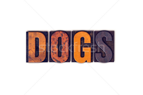 Dogs Concept Isolated Letterpress Type Stock photo © enterlinedesign