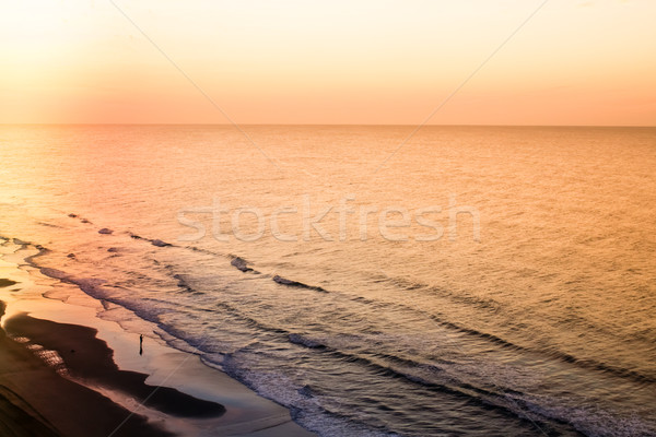 Beach Shoreline at Sunrise Stock photo © enterlinedesign