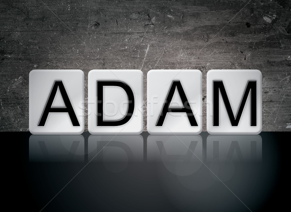 Adam Concept Tiled Word Stock photo © enterlinedesign