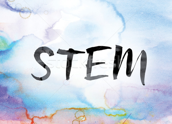 STEM Colorful Watercolor and Ink Word Art Stock photo © enterlinedesign