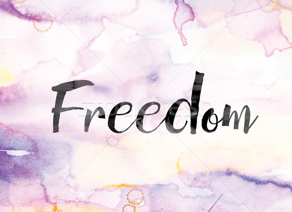 Freedom Colorful Watercolor and Ink Word Art Stock photo © enterlinedesign