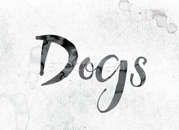 Dogs Concept Painted in Ink Stock photo © enterlinedesign