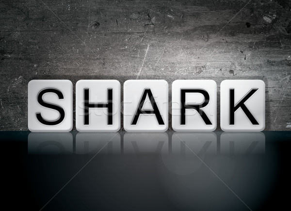 Shark Tiled Letters Concept and Theme Stock photo © enterlinedesign