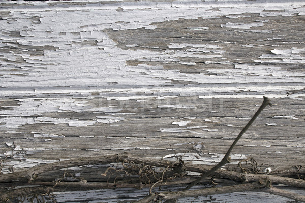 Peeling Paint on Weathered Wood and Grape Vine Background Stock photo © enterlinedesign