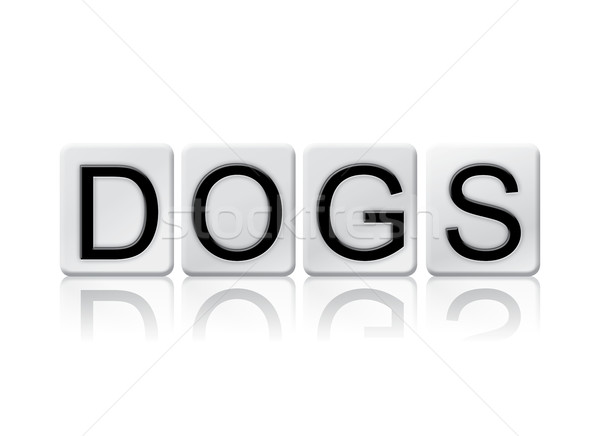 Dogs Isolated Tiled Letters Concept and Theme Stock photo © enterlinedesign