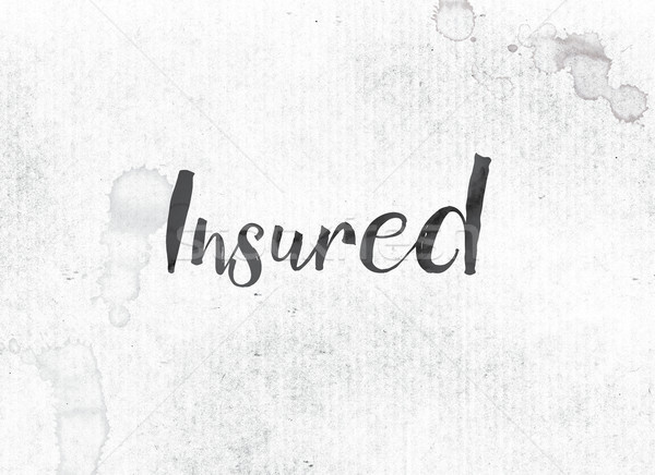 Insured Concept Painted Ink Word and Theme Stock photo © enterlinedesign