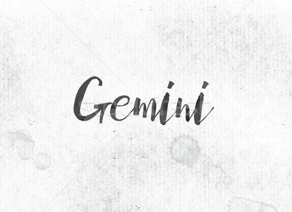 Gemini Concept Painted Ink Word and Theme Stock photo © enterlinedesign