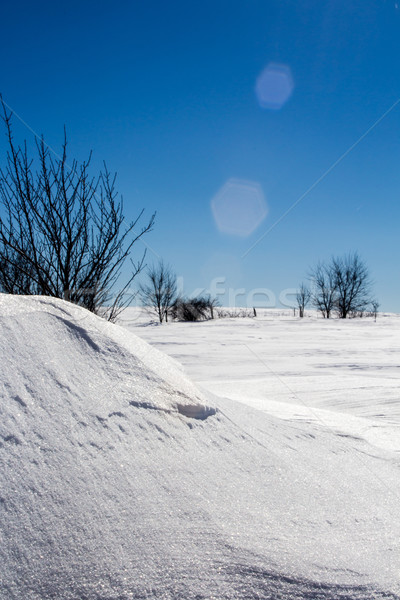 Drifted Snow and a Blue Sky Stock photo © enterlinedesign