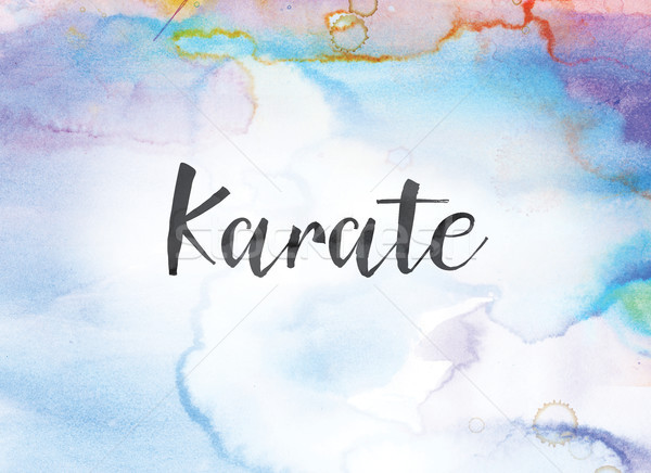 Karate Concept Watercolor and Ink Painting Stock photo © enterlinedesign