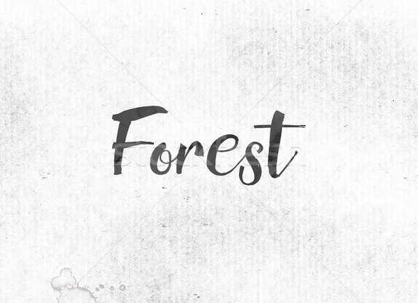 Forest Concept Painted Ink Word and Theme Stock photo © enterlinedesign