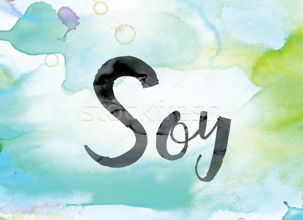 Soy Colorful Watercolor and Ink Word Art Stock photo © enterlinedesign