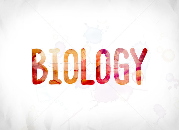 Biológia festett vízfesték szó művészet színes Stock fotó © enterlinedesign