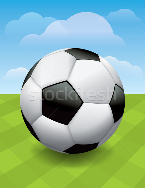 Soccer Ball on Green Soccer Pitch Stock photo © enterlinedesign