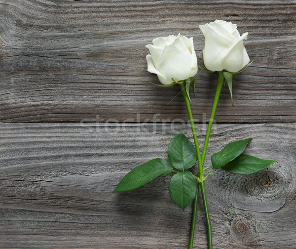 Two white roses on a wooden background Stock photo © Epitavi