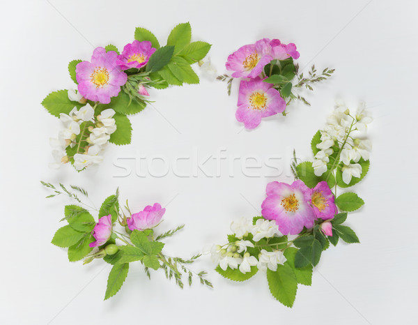 Decorative composition with wild rose flowers Stock photo © Epitavi