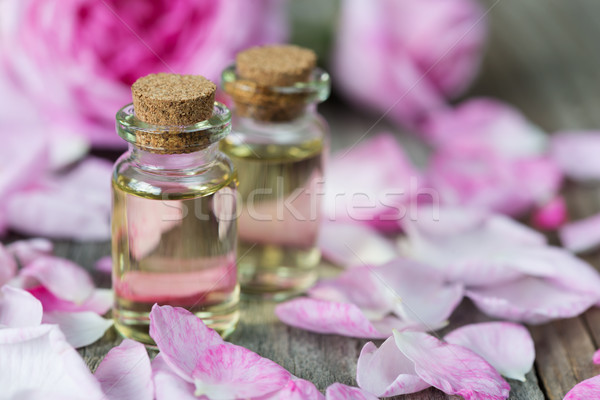 Stockfoto: Steeg · twee · bloemblaadjes · roze · rozen