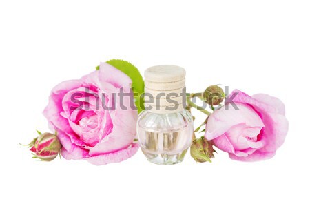 Steeg fiool twee rozen geïsoleerd Stockfoto © Epitavi