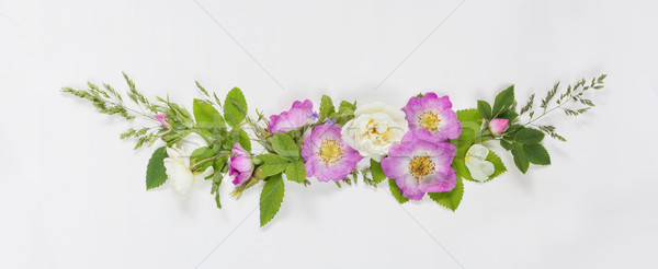 Decorative composition with wild rose flowers Stock photo © Epitavi