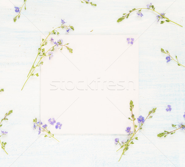 Página azul flores boda familia Foto stock © Epitavi