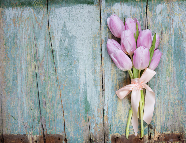 Pink tulips on the blue wooden background Stock photo © Epitavi
