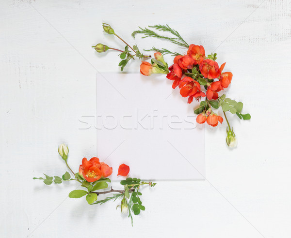 Scrapbook oldal virágok esküvő család fényképalbum Stock fotó © Epitavi