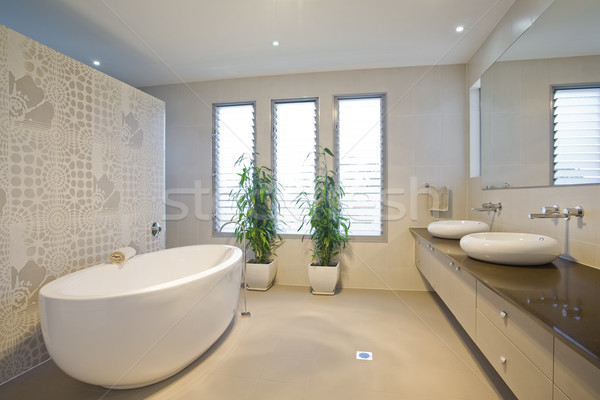 Luxe salle de bain jumeau paysage hôtel intérieur Photo stock © epstock