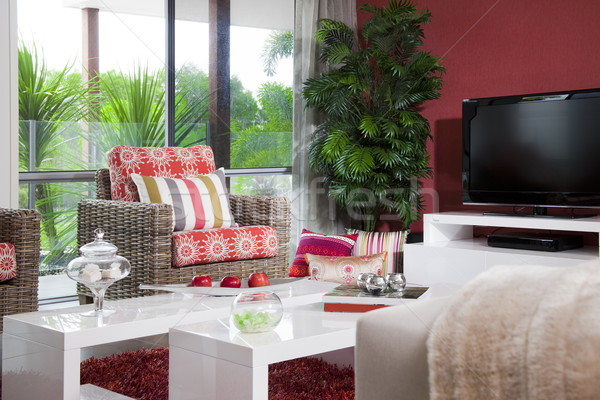 modern living room Stock photo © epstock