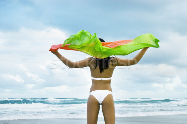 model on beach in bikini holding shawl in the wind Stock photo © epstock