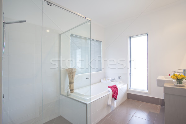 bathroom in modern townhouse Stock photo © epstock