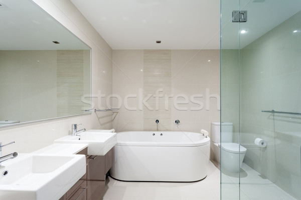 Stockfoto: Moderne · badkamer · luxe · appartement · landschap · hotel