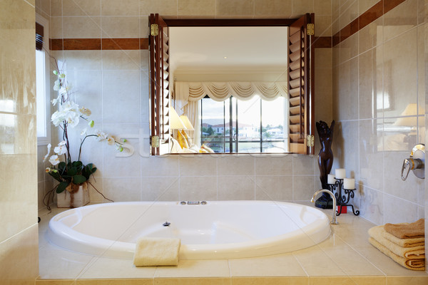 Fényűző fürdőszoba elegáns ház fa fürdőkád Stock fotó © epstock