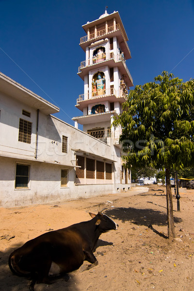 Hanuman temple Stock photo © ErickN