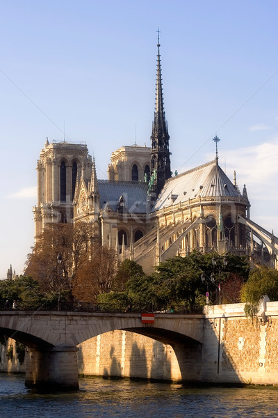 Notre-Dame cathedral Stock photo © ErickN