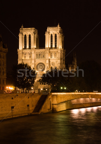 Notre-Dame cathedral Stock photo © ErickN