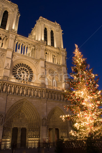 ストックフォト: クリスマス · クリスマスツリー · 大聖堂 · パリ · フランス · 旅行