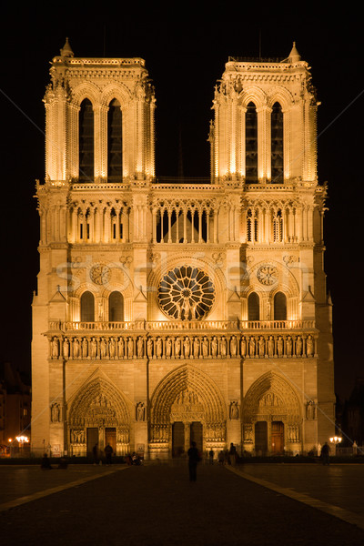 Catedral noite Paris França Foto stock © ErickN