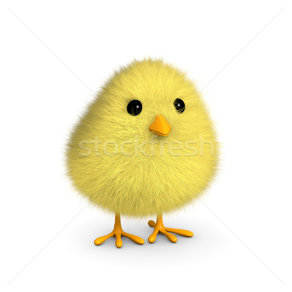 蓬鬆 黃色 小雞 孤立 白 三維渲染 商業照片 © ErickN