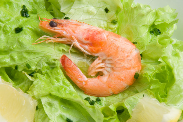 Shrimp salad Stock photo © ErickN