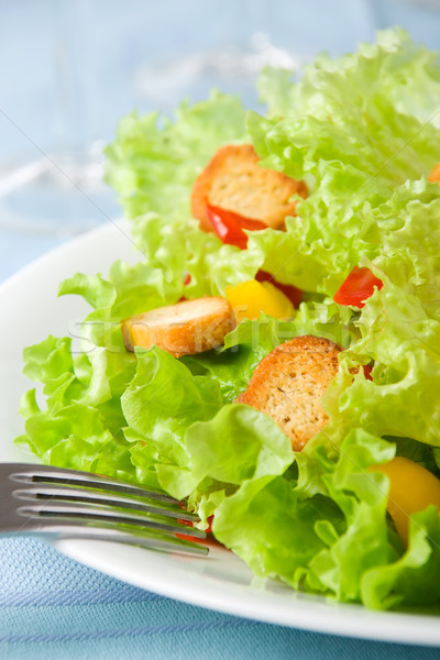 Stockfoto: Salade · sla · tomaten · paprika · ondiep