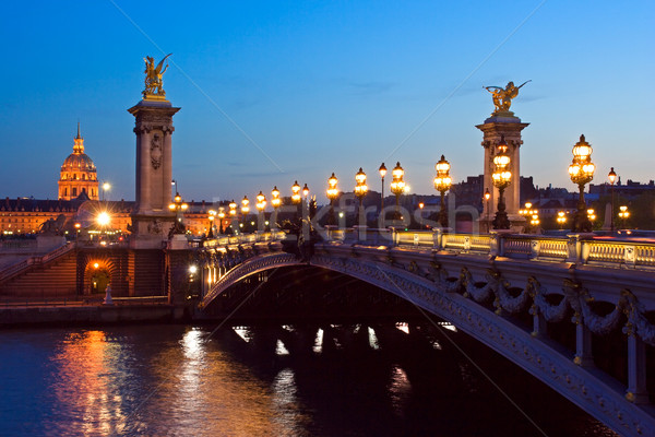 Ponte cupola notte Parigi Francia viaggio Foto d'archivio © ErickN