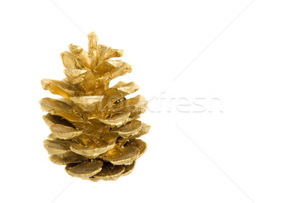 Golden pine cone Stock photo © ErickN