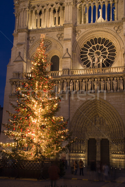 Christmas at Notre-Dame Stock photo © ErickN