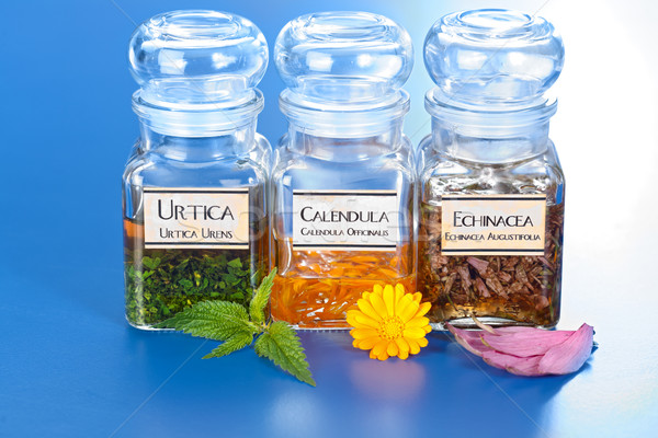 Various plant extract in bottles and homeopathic medication Stock photo © erierika