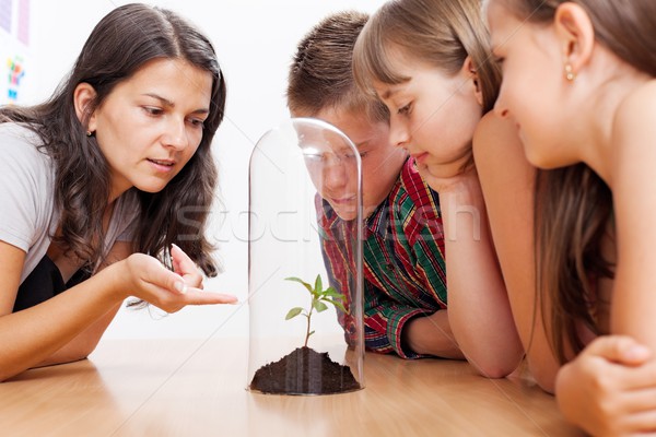 Students looking at plant inside greenhouse Stock photo © erierika