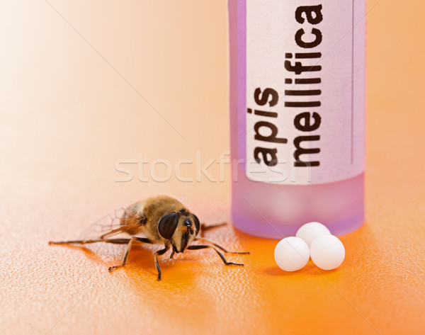 Homeopatycznych lek Pszczoła real muzyka pigułki Zdjęcia stock © erierika