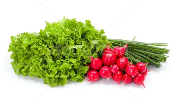 Fresh spring vegetables: radish, scallion and lettuce Stock photo © erierika